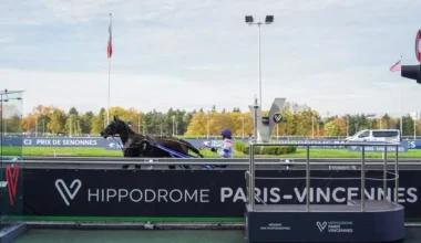 L'analyse des cotes du Quinté+ du vendredi 28 novembre - Equidia