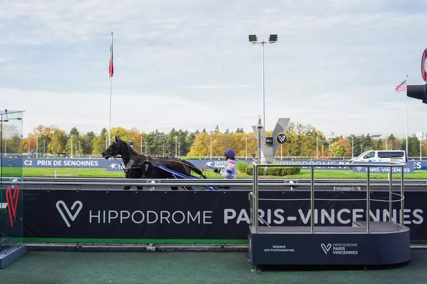 L'analyse des cotes du Quinté+ du vendredi 28 novembre - Equidia