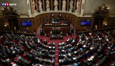 Budget de la Sécu : "le Sénat ne cherche pas le compromis", dénonce Patrick Kanner (PS)