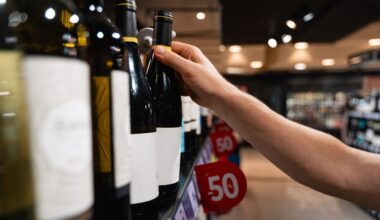 Un Beaujolais 2025 "tout en fruit" : qualité, prix, production... tout ce qu'il faut savoir sur ce nouveau millésime