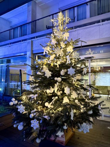 sofitel patinoire gouter 2025IMG_8696