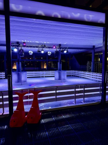 sofitel patinoire gouter 2025IMG_8705