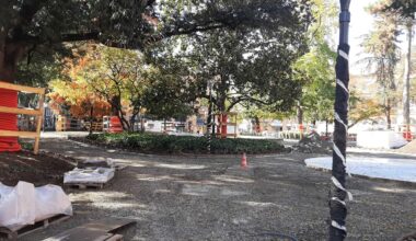 Toulouse. En travaux depuis plusieurs mois, ce square s’apprête à rouvrir ses grilles place Wilson