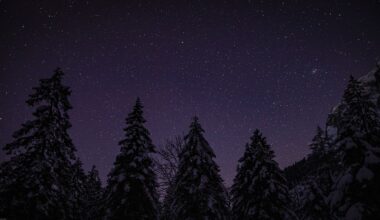 Nos idées sorties du week-end des 5, 6 et 7 décembre 2025 dans la Loire