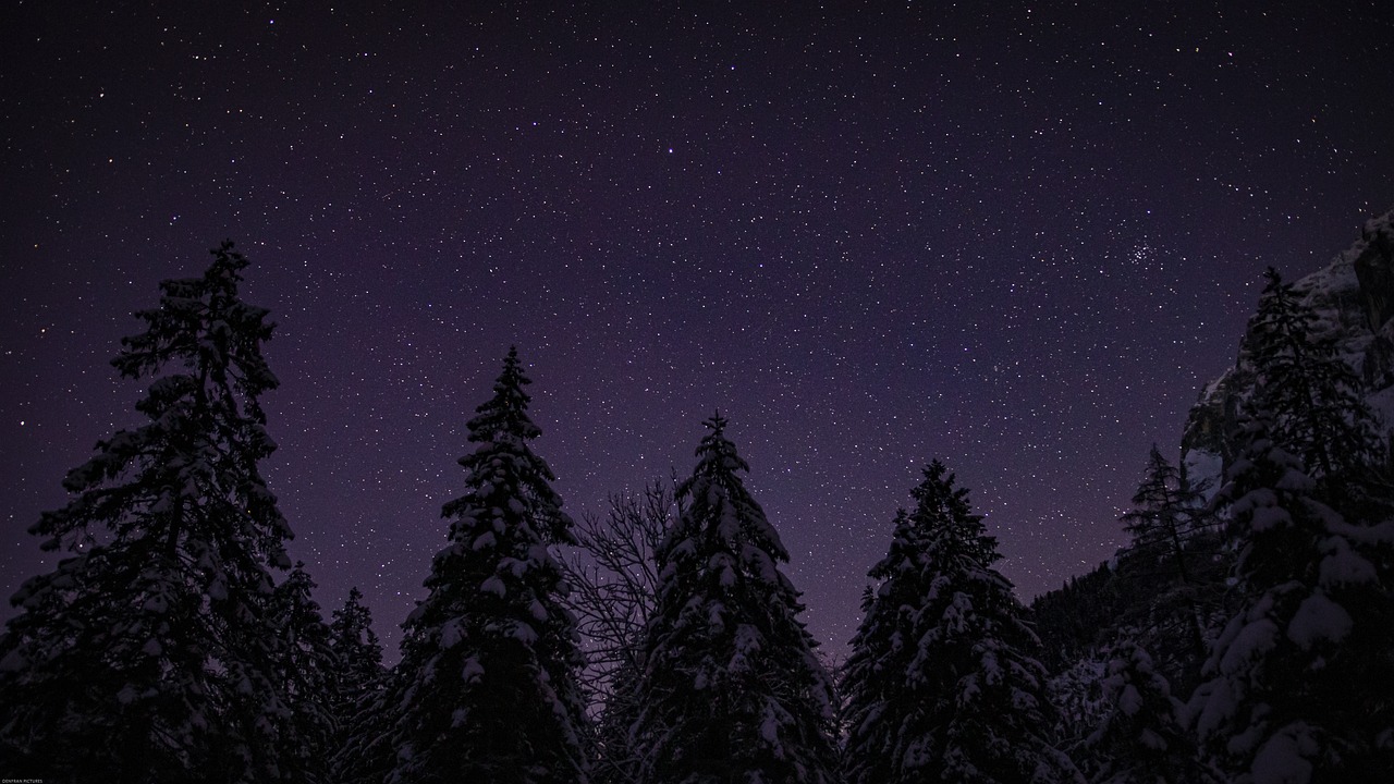 Nos idées sorties du week-end des 5, 6 et 7 décembre 2025 dans la Loire