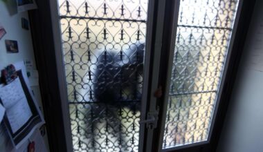 Hausse des cambriolages à Pessac : que disent les chiffres ?