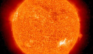 cette silhouette noire en chute libre devant le soleil est-elle la photo de l’année ?