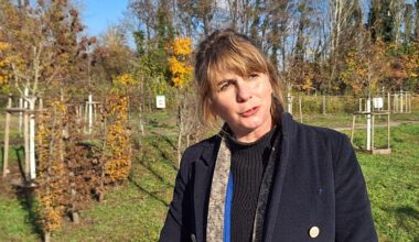 Strasbourg. Un tout nouveau parc doit voir le jour dans ce quartier : ce qu'il faut savoir