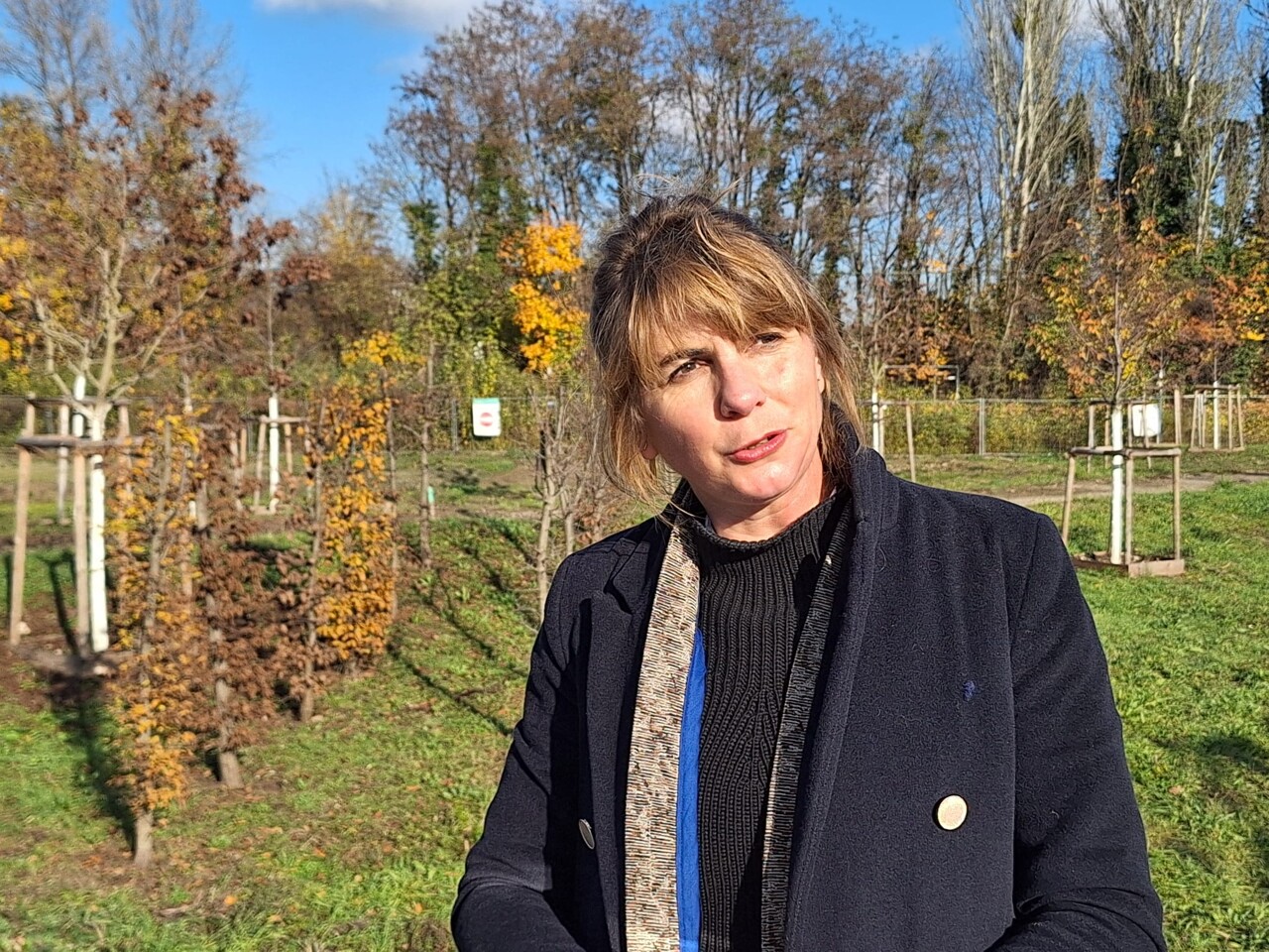 Strasbourg. Un tout nouveau parc doit voir le jour dans ce quartier : ce qu'il faut savoir