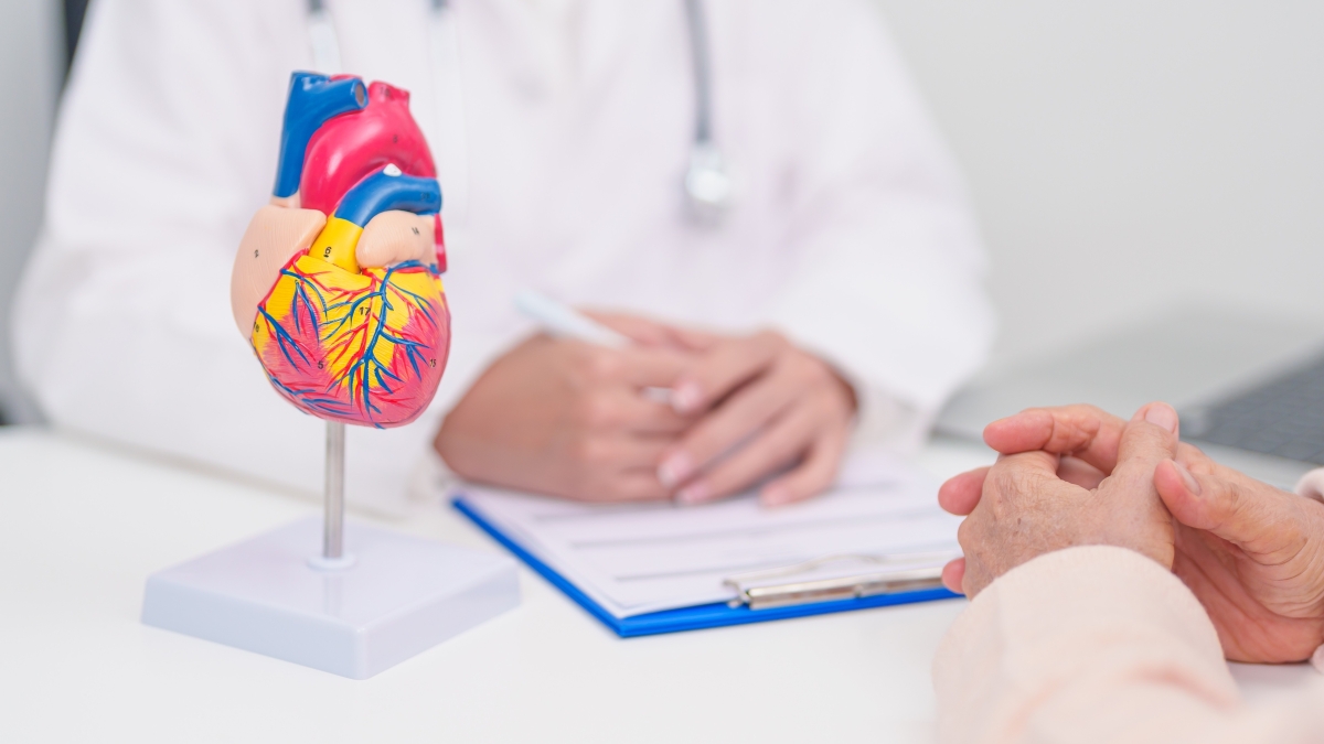 Médecin avec modèle d'anatomie cardiaque. Sujets âgés Consultation de patients santé médicale pour les maladies cardiovasculaires