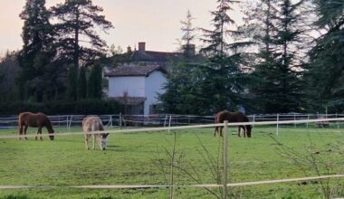 Un HLM va être construit dans le parc d’une propriété classée. Colère des habitants -