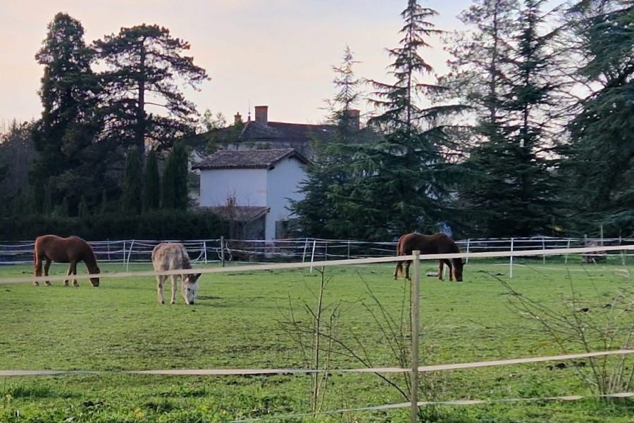 Un HLM va être construit dans le parc d’une propriété classée. Colère des habitants -