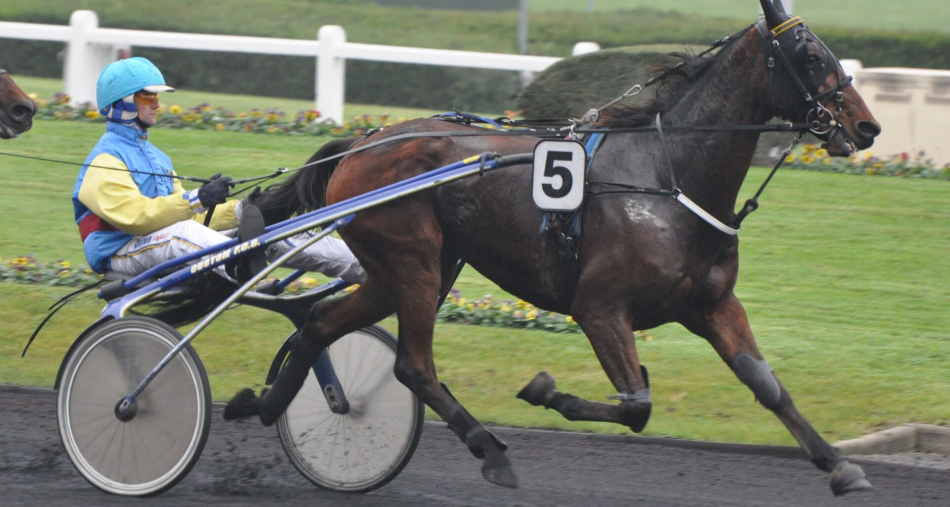 Les pronostics hippiques de Sébastien Mortagne : Vendredi 28 Novembre - RDL - La Radio qui Chante