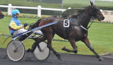 Les pronostics hippiques de Sébastien Mortagne : Vendredi 28 Novembre - RDL - La Radio qui Chante