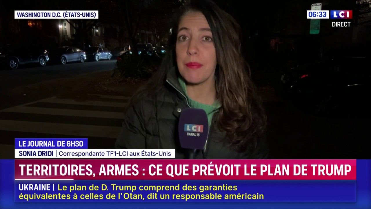 Territoires, armes : ce que prévoit le plan de Trump