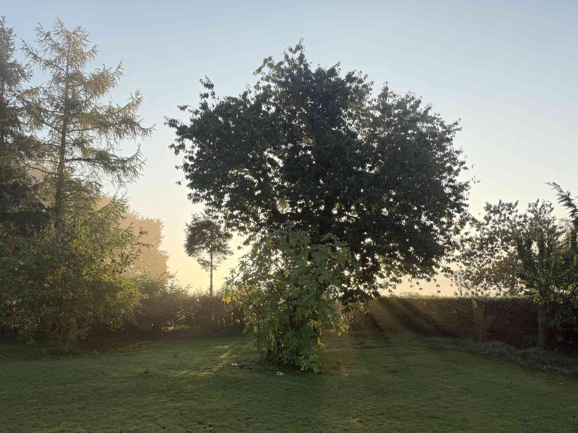 Test iPhone 17 Pro Max Photo Jardin