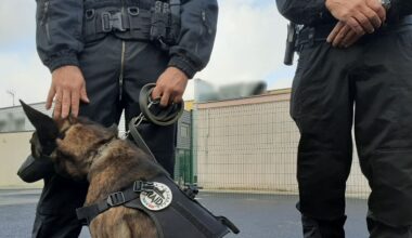 Près de Grenoble. Une opération XXL menée dans ce quartier, la police fait de grosses découvertes