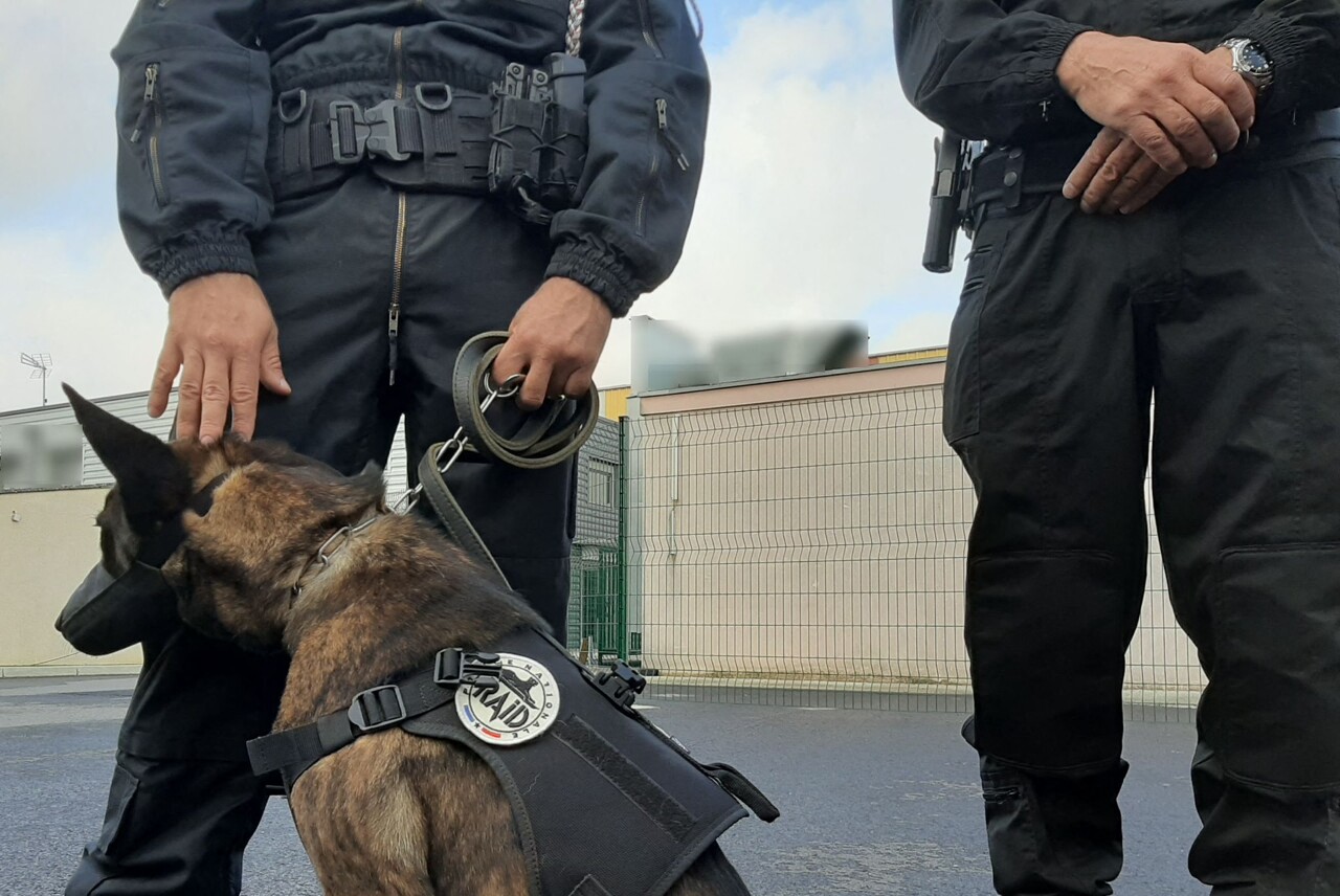 Près de Grenoble. Une opération XXL menée dans ce quartier, la police fait de grosses découvertes