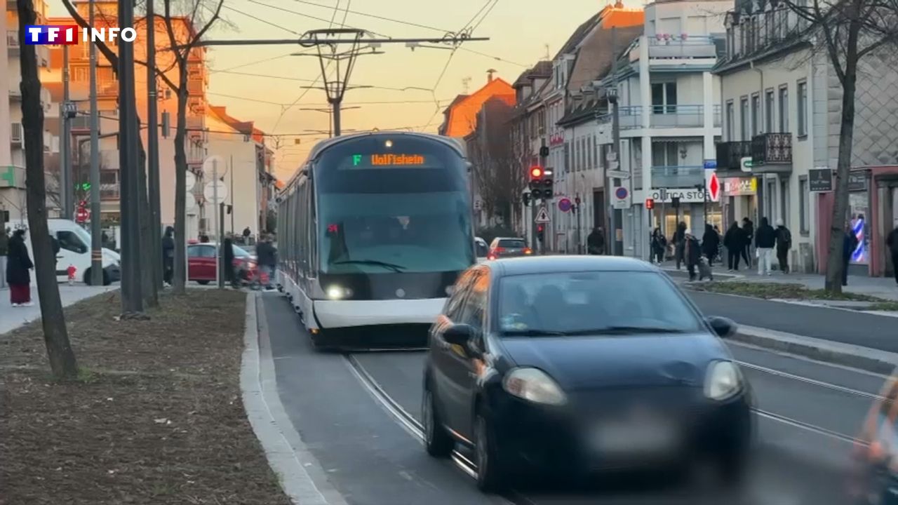 "Très surprenant" : à Strasbourg, trams et voitures roulent pour la première fois sur une même voie