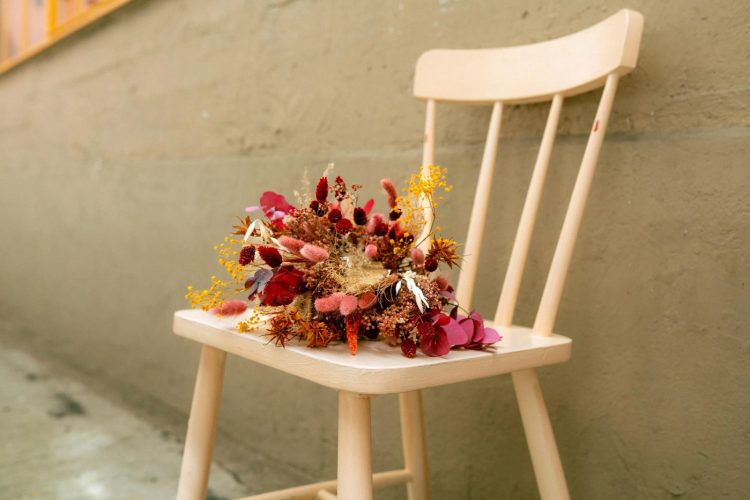 tulipe sauvage + les créatives