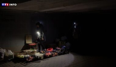 "Au premier qui craquera" : les frappes sur les infrastructures énergétiques, la clé de la fin de la guerre en Ukraine ?