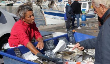 sur le Vieux-Port de Marseille, le ras-le-bol des pêcheurs