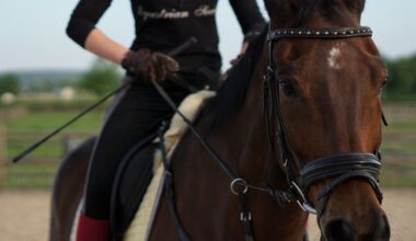 le grand rendez-vous équestre fait son retour à Rouen du 20 au 23 novembre