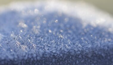 Alerte météo. Le froid s'intensifie en Seine-Maritime, la vigilance jaune pour neige-verglas activée