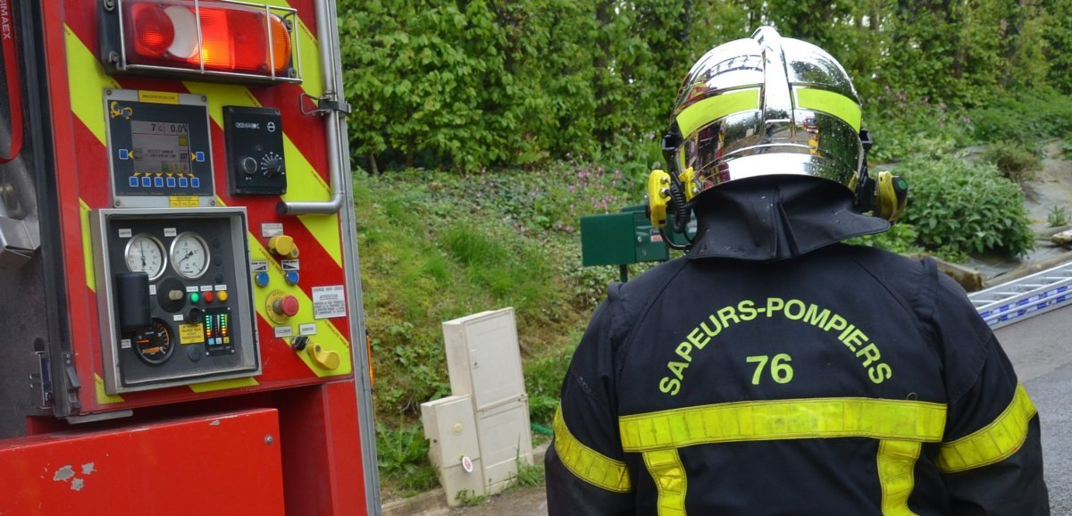 près de 120 animaux évacués après un incendie