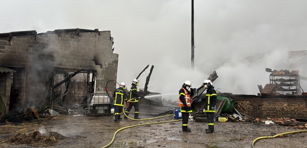 "Tout est foutu, on n'a plus rien"