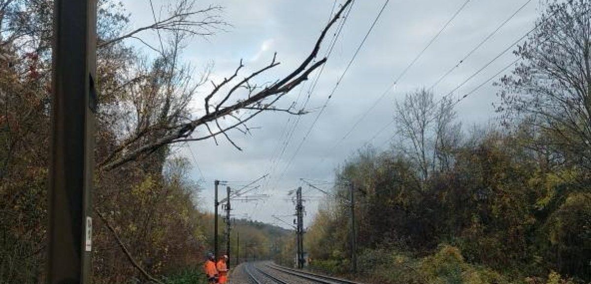 Seine-Maritime. Le trafic des trains a repris entre Rouen et Paris Saint-Lazare