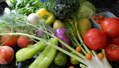 quels sont les commerces fermés par le préfet ?