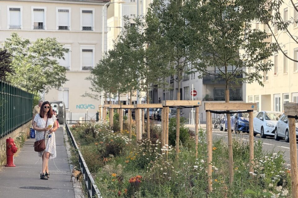 Un nouvel espace verts avec des arbres plantés dans le 3e arrondissement de Lyon, à la place de stationnements.