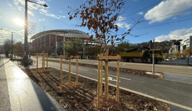 Lyon. Les écologistes accélèrent la plantation massive d'arbres, ces secteurs vont changer
