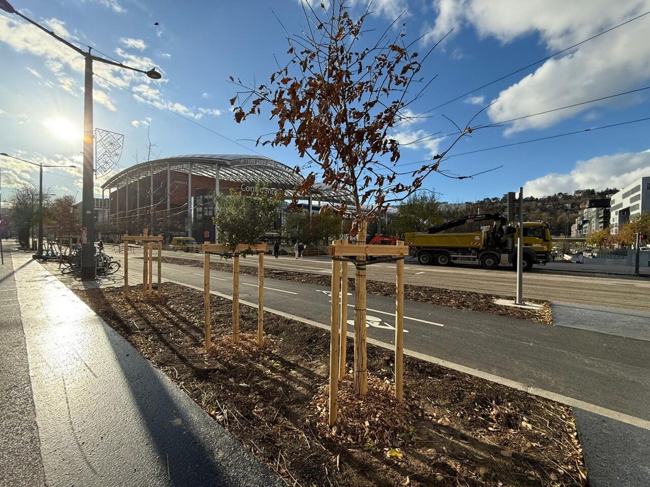 Lyon. Les écologistes accélèrent la plantation massive d'arbres, ces secteurs vont changer