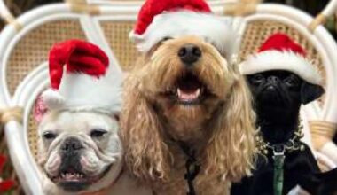 NICE : Mama Shelter Nice vous invite à plonger dans l’ambiance joyeuse et chaleureuse de Noël