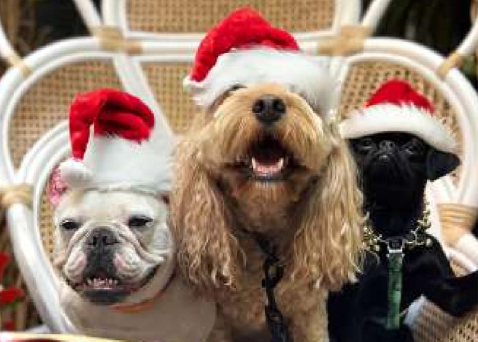 NICE : Mama Shelter Nice vous invite à plonger dans l’ambiance joyeuse et chaleureuse de Noël