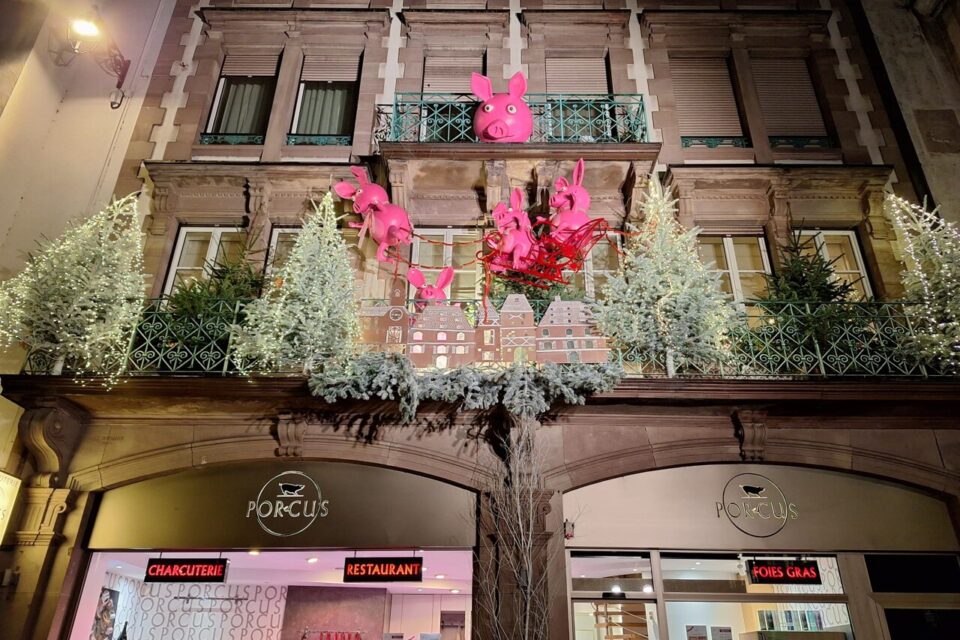 Vitrines illuminations décorations Noël Strasbourg