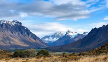 Wuollthu8p 1762877244