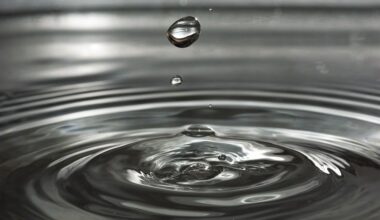 Un mois d'octobre assez pluvieux dans la Somme