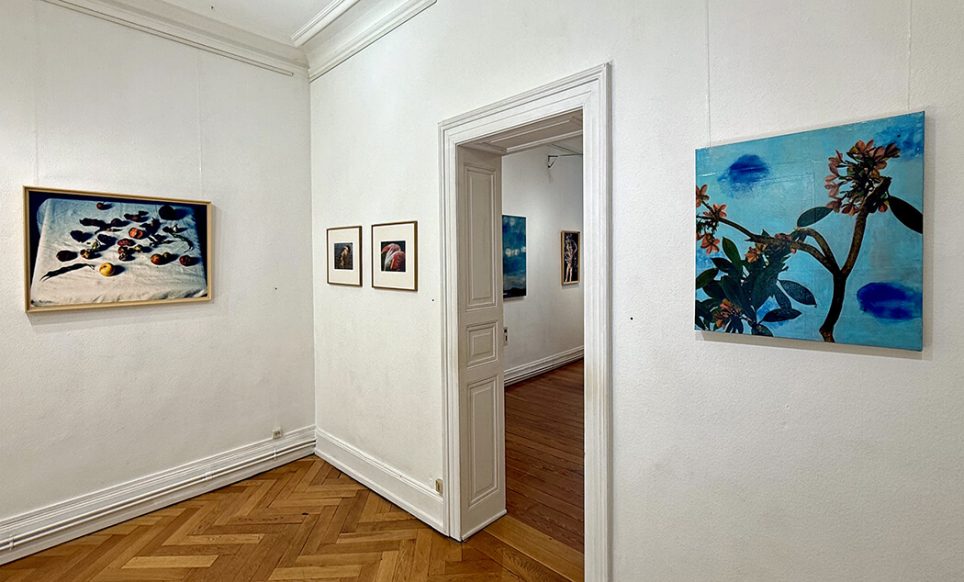 Vue de l’exposition « Wildflowers » d’Ayline Olukman à la galerie Bertrand Gillig à Strasbourg