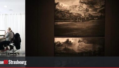 Strasbourg. Yana Kononova interroge la mémoire de la terre d'Ukraine