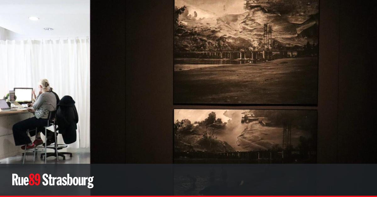 Strasbourg. Yana Kononova interroge la mémoire de la terre d'Ukraine