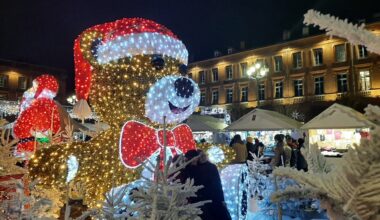 Forêt de sapins, marchés, parades, patinoire... Voici neuf façons de vivre la magie de Noël à Toulouse