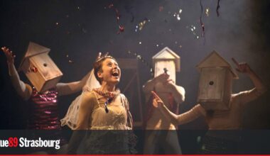 Soirée camping, folklore japonais et autres curiosités culturelles à découvrir en décembre