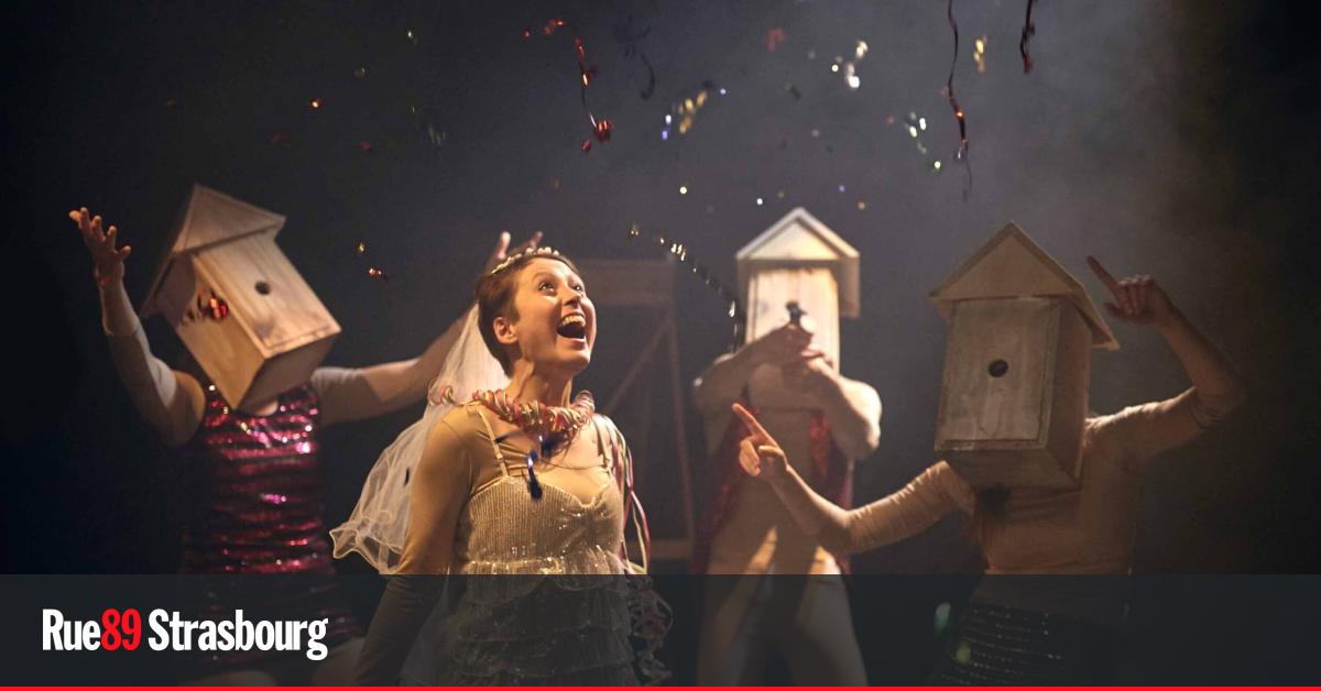 Soirée camping, folklore japonais et autres curiosités culturelles à découvrir en décembre