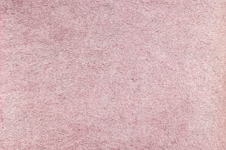 Impression eau-forte exposée à la Uchiwa Gallery de Rouen, du 6 au 22 novembre 2025.