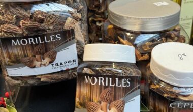 où se trouve le chalet de la société Trapon avec de beaux champignons ?