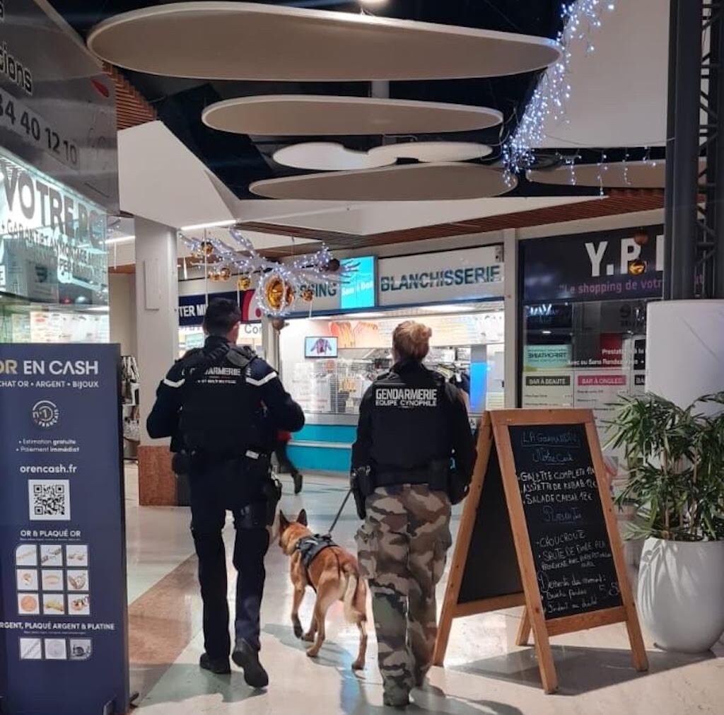 Opération "Zéro délinquance" par les gendarmes aux portes de Montpellier : 4,3kg de drogue saisis