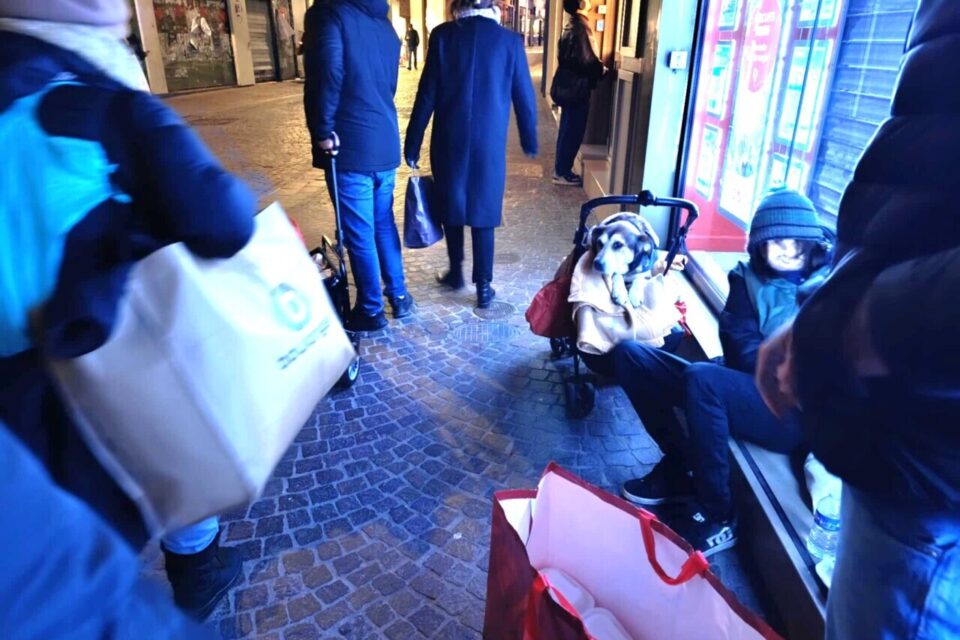 maraude lille asso bien vivre ensemble